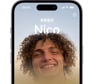 丰满苹果15服务站分享iPhone15实时语音留言开启方法