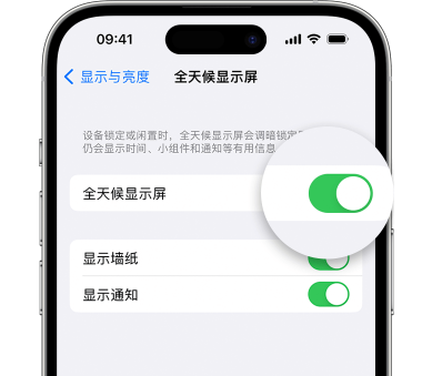 丰满苹果15预约维修分享iPhone15如何设置全天候显示屏幕可见 