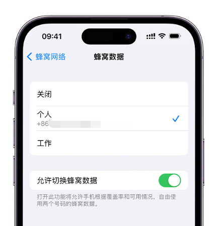 丰满苹果维修服务分享如何在iPhone上使用双卡 