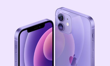 丰满苹果手机维修分享紫色版iPhone 12有什么技术亮点 